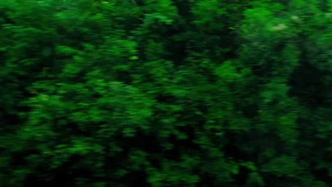 Travelling by the train Stock Footage 138454609