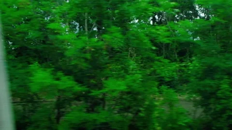 Travelling by the train Stock Footage 138454677