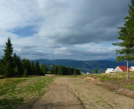 Travelling in vatra dornei Фото