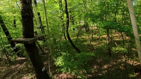 Traversing obstacles high among the trees 스톡 동영상 310735623