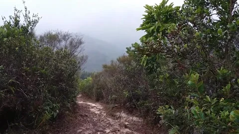 Traversing steep paths: Uncovering courage at the top of a hill Stock Footage 242228324