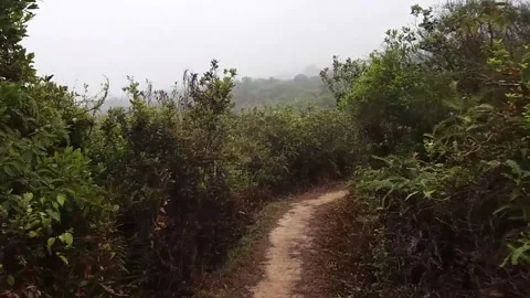 Traversing steep paths: Uncovering courage at the top of a hill Stock Footage 242228364
