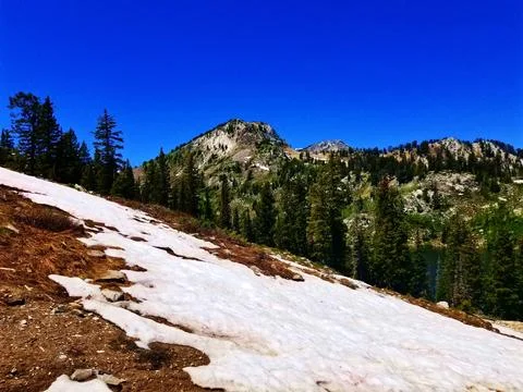 Traversing the tree line in Wasatch mountain range, Utah Foto stock