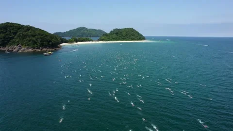 Travessia da Fuga das Ilhas swimming competition, Sao Sebastiao, Brazil - Stock Footage 228900188