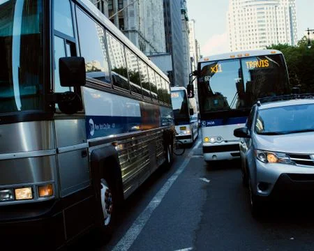 Travis-2 Stock Photos