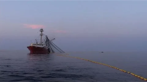 Trawler in Action with Net Dropped into Ocean Stock Footage 283516829