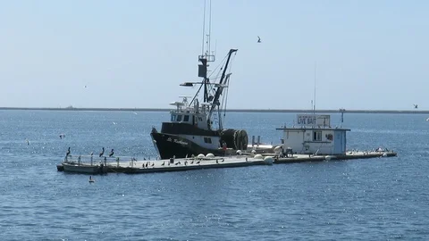 Trawler and Bait Barge Stock Footage 95759729