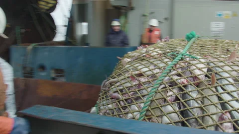 Trawler lifts the trawl. Stock-Footage 155239615