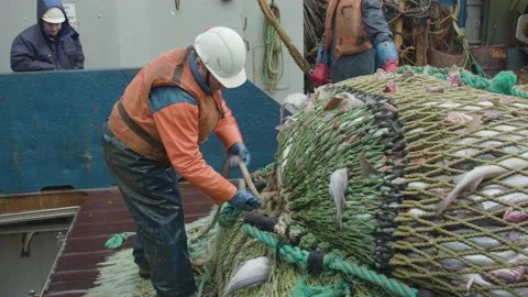 Trawler lifts the trawl. Stock-Footage 155243903
