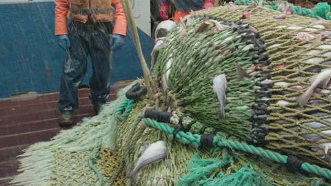 Trawler lifts the trawl. Stock Footage 155243958