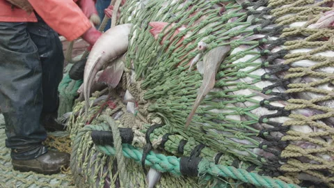 Trawler lifts the trawl. Stock Footage 155633425