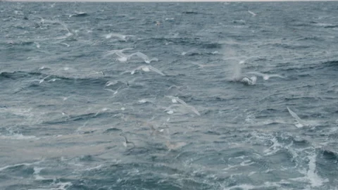 Trawler lifts the trawl. Vídeo Stock 172099593
