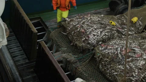 Trawler lifts the trawl. Stock Footage 172100463