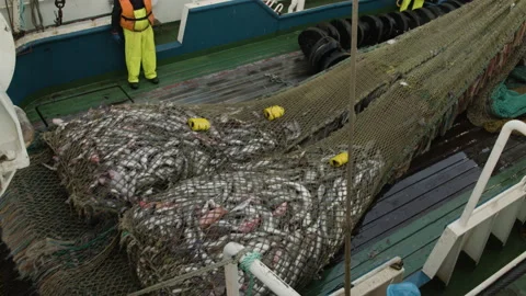 Trawler lifts the trawl. Vidéo 172100530
