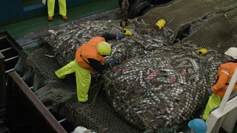 Trawler lifts the trawl. Vidéo 172101087