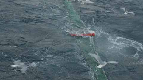 Trawler lifts the trawl. 스톡 동영상 172102036