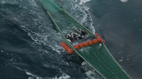 Trawler lifts the trawl. Vidéo 172102085