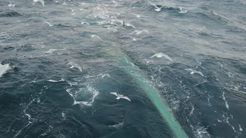 Trawler lifts the trawl. Vidéo 172102117