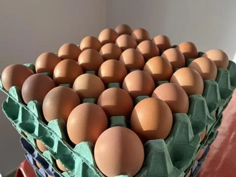 Tray of 30 Fresh Chicken Eggs in Cardboard Carton Stock Photos