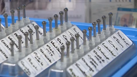 A tray of allergy testing equipment labe... | Stock Video | Pond5