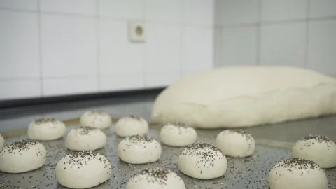 Tray with bread rolls sprinkled with seeds of sesame, poppy and chia Stock Footage 251364121