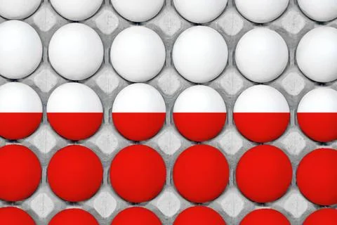 Tray of chicken eggs. View from above Stock Photos