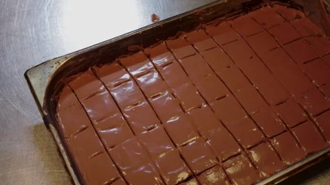 Tray of chocolate squares in grid pattern freshly made and glossy Stock Footage 325479310