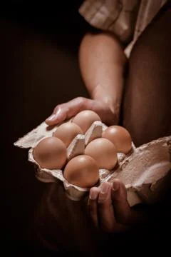 Tray of eggs in farmer hands Foto stock