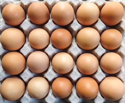 Tray eggs Stock Photos