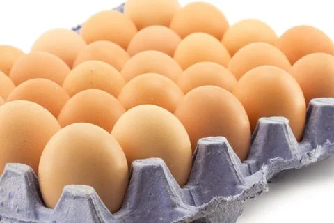 Tray of eggs Stock Photos