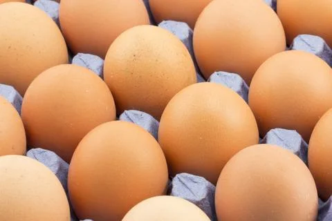 Tray of eggs Stock Photos