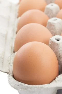 Tray of eggs Stock Photos