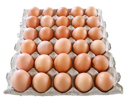 Tray Of Eggs Stock Photos
