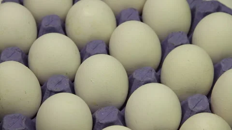 Tray of eggs on a white background loop Stock Footage 47920455
