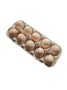 Tray with eggs on white background Stock Photos