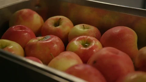 Tray full of apples Stock Footage 103884026