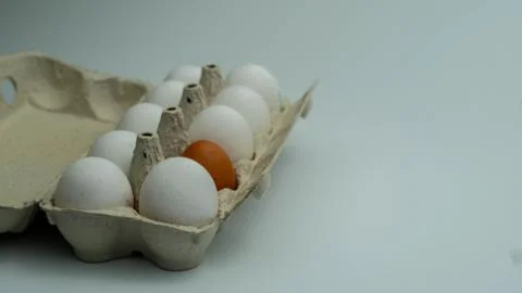 Tray with many eggs in left side of the frame. Nice isolated white background Stock Photos