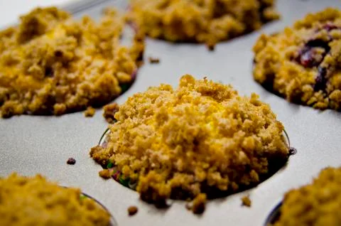 Tray of Muffins Stock-Fotos