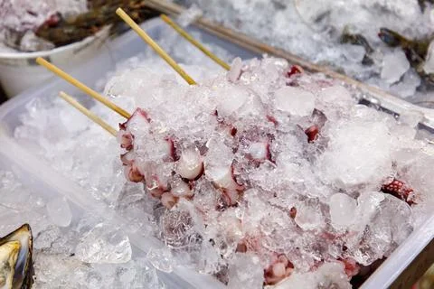 A tray of octopus is sitting in a container of ice Stock Photos