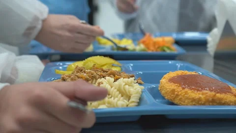 Tray with quickly prepared lunch Stock Footage 302752492
