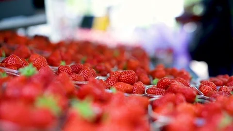 Tray of strawberries Stock Footage 82820597