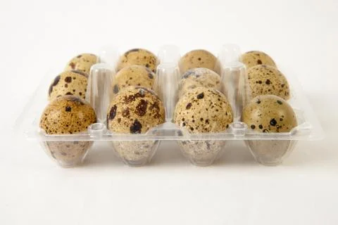 Tray of twelve quails eggs Stock Photos