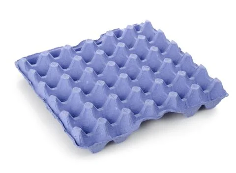 Tray from under eggs Stock Photos