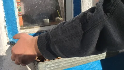 Tray with walnuts in the fall. Stock-Footage 96864044