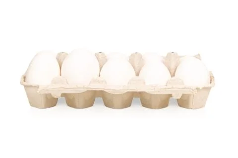 Tray with white eggs Stock Photos