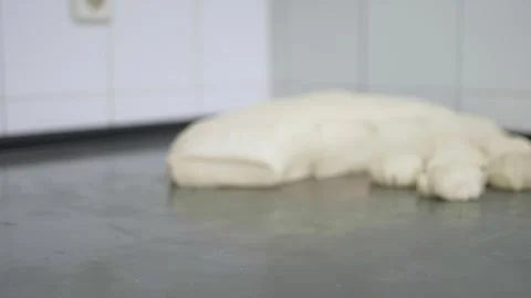 Trays with bread rolls with bread dough in the background 動画素材 251364238