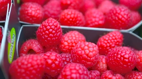 Trays filled with raspberries Stock Footage 60443060