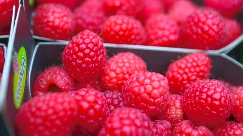 Trays filled with raspberries Stock Footage 81809860
