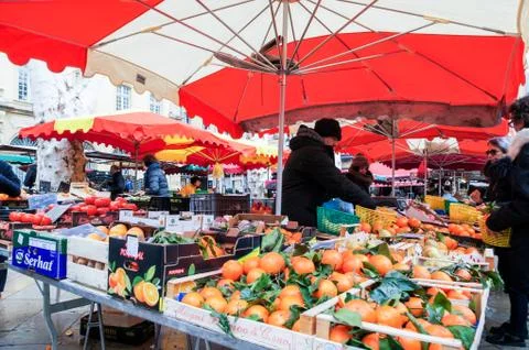 Trays of fruit. 库存照片
