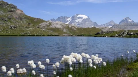 Tre Becchi Lake. Stock Footage 325658184